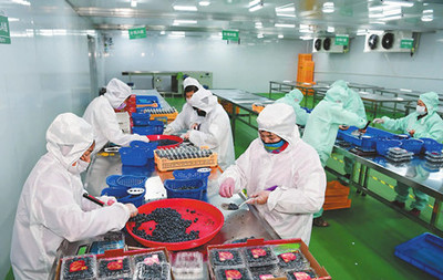 玉溪市人民政府推動(dòng)食品互聯(lián)網(wǎng)銷(xiāo)售發(fā)展策略與成效