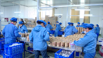 紅安 黨建領航，跑出鄉村振興“加速度” —— 探索食品互聯網銷售新路徑